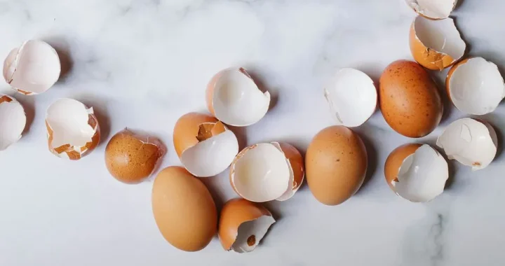 A casca sairá instantaneamente: um truque simples com um ovo antes de cozinhar