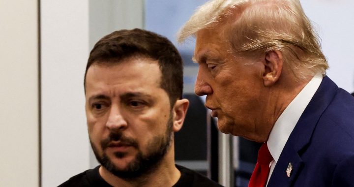 Negociações entre as equipes de Trump e Zelensky sobre a paz: o que as partes concordam