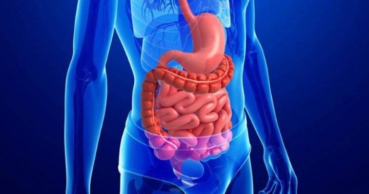 Como reconhecer problemas intestinais: os médicos citaram quatro sintomas principais