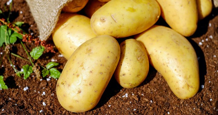 A batata realmente afeta seu sistema cardiovascular?