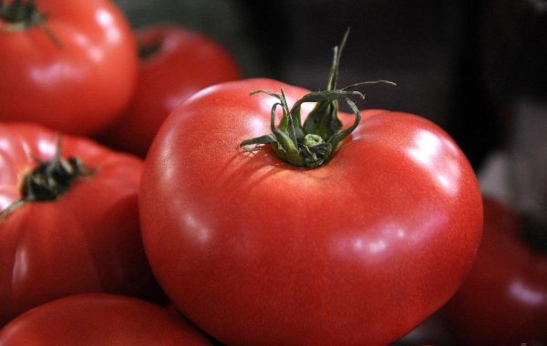 Os preços do tomate estão subindo na Ucrânia: quanto custa um quilo agora