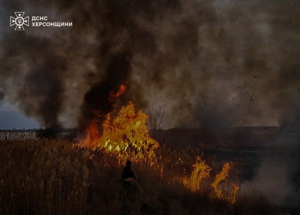 O Serviço de Emergência do Estado mostrou as consequências do bombardeio da região de Kherson em 1 e 2 de março (FOTO)