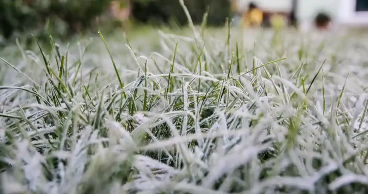 O frio não vai embora: como estará o tempo no primeiro dia da semana