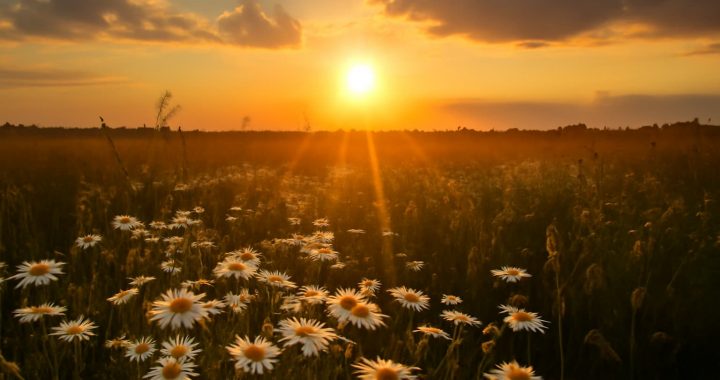 O que é o dia do solstício de verão e quando ocorre em 2025?