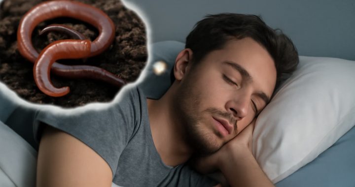 O que significa sonhar com um verme? Interpretação do sonho