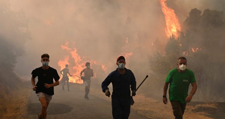 Incêndios florestais na Espanha e em Portugal: causas e consequências para a economia