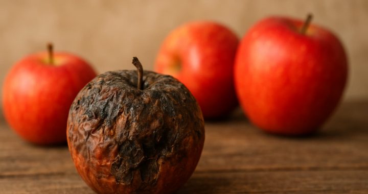 O que significa sonhar com maçã podre: interpretação do sonho