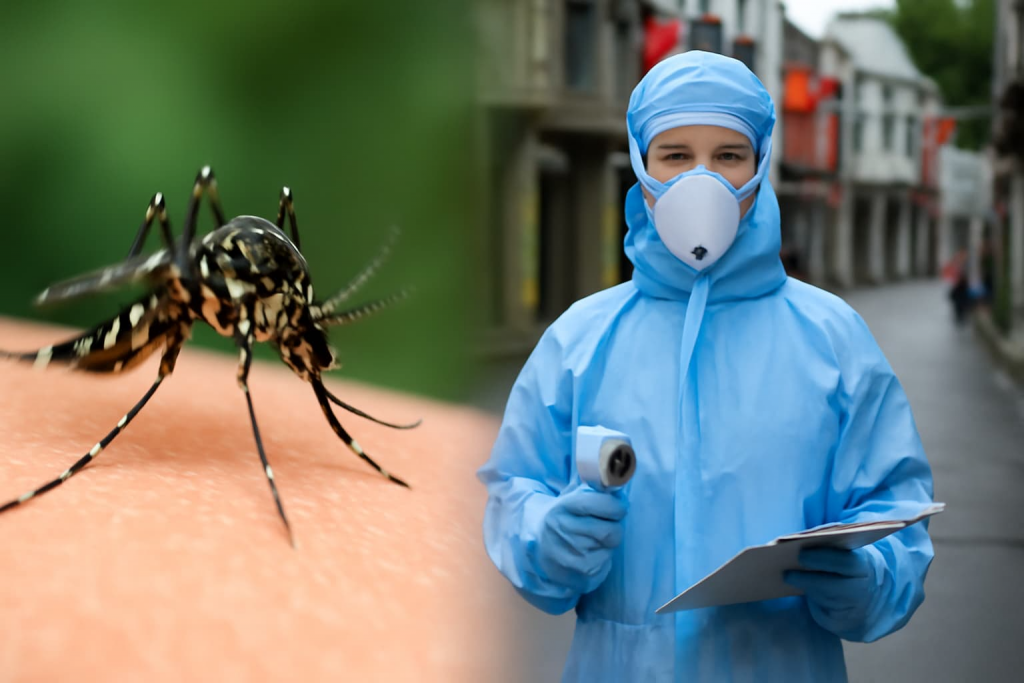 Como o vírus Chikungunya se espalha por mosquitos na China