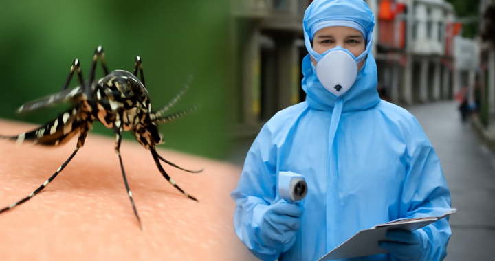 A China novamente implementa restrições COVID devido ao novo vírus transmitido por mosquitos
